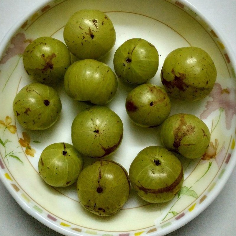 Amla, also known as Indian Gooseberry