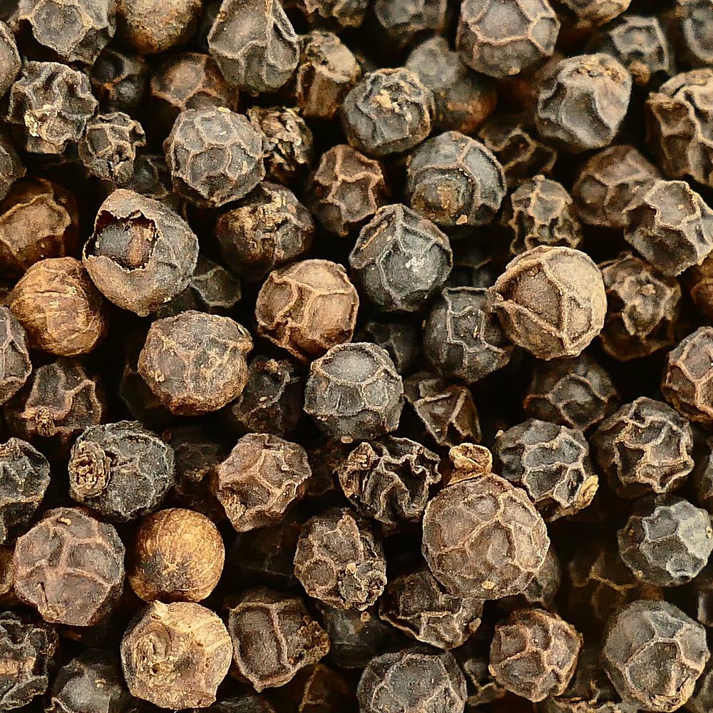 Black peppercorns, the source of piperine