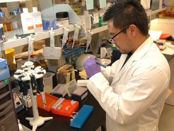 Scientist conducting laboratory research